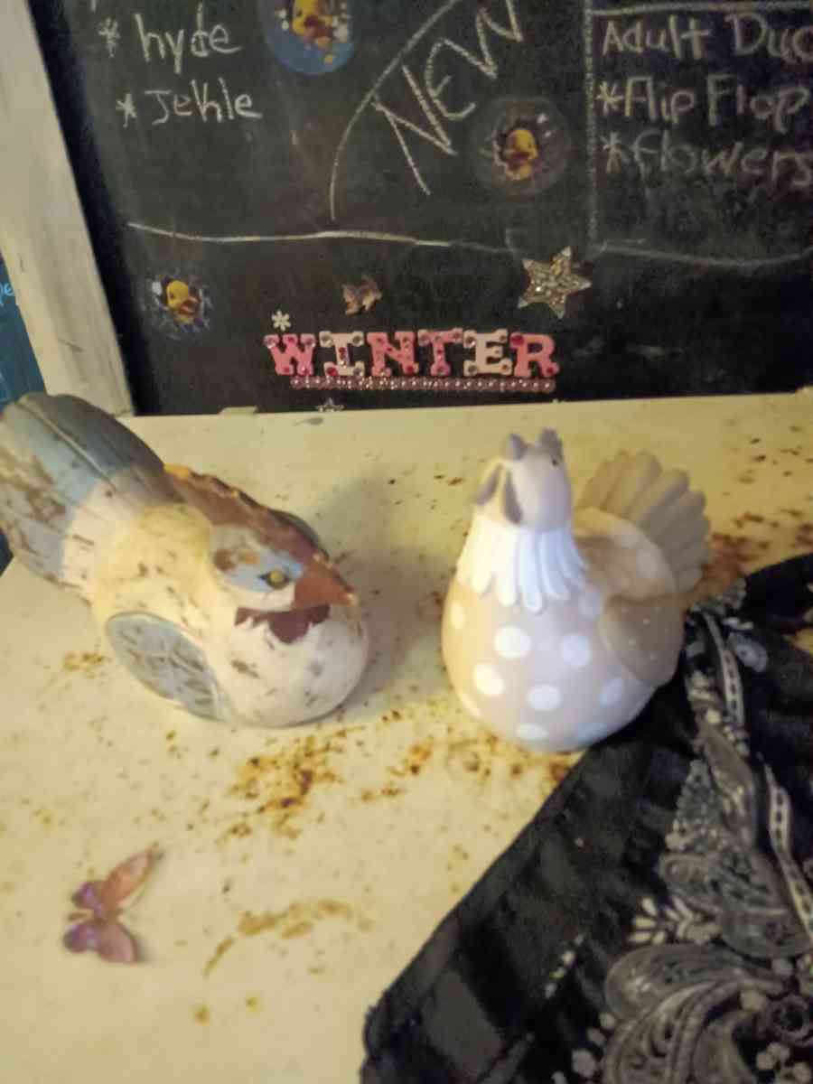 chickens and foot massager - Deep Run, North Carolina