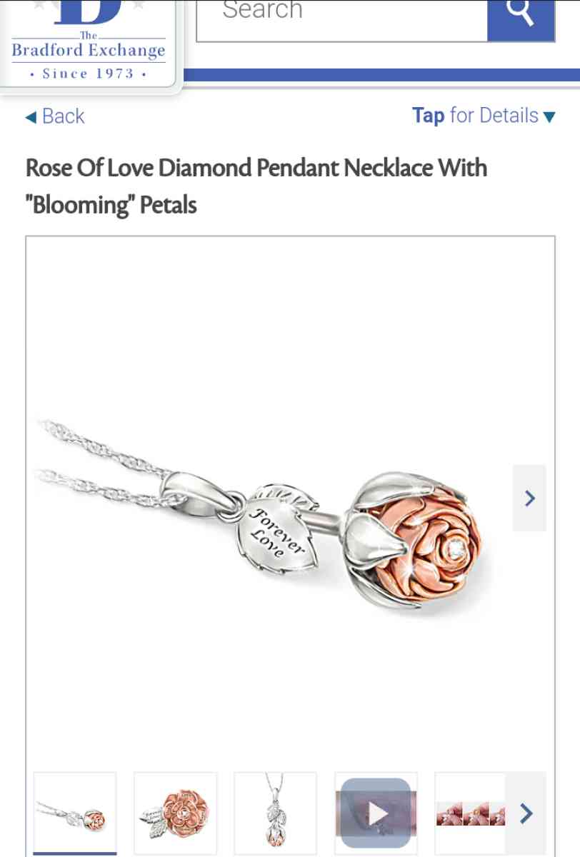 GOLD OR SILVER NECKLACES - Alliance, Ohio - FleaMarketBay