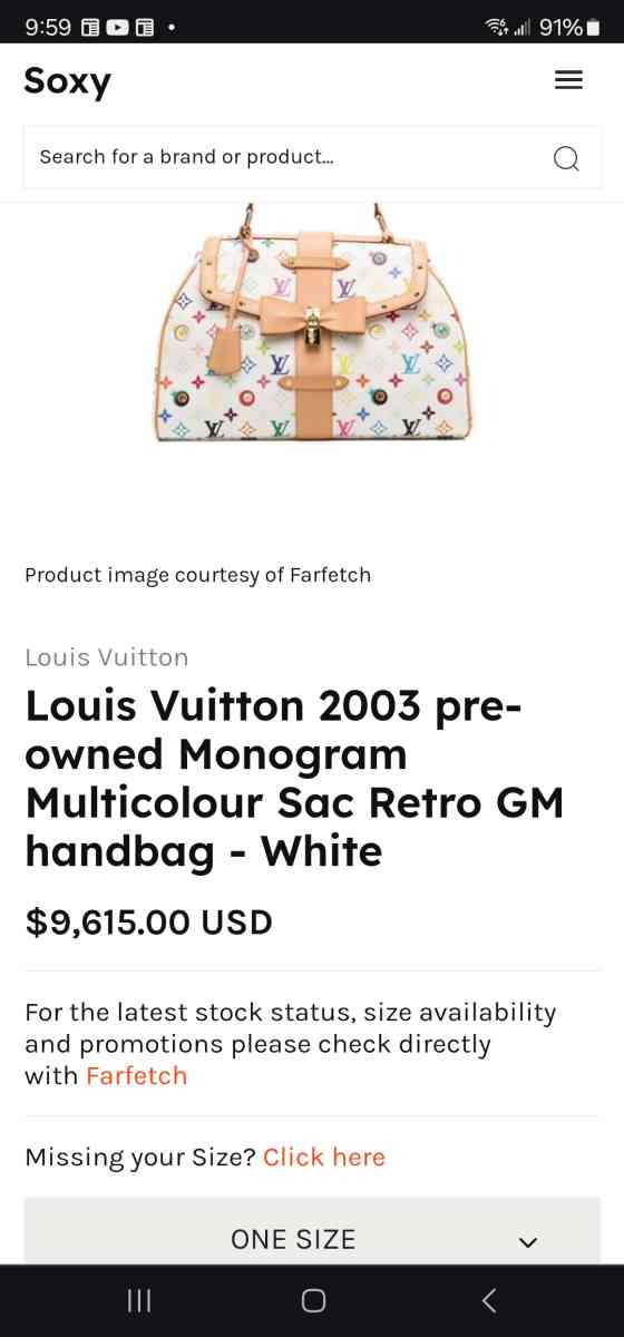 Louis Vuitton - Martinsburg, West Virginia - FleaMarketBay