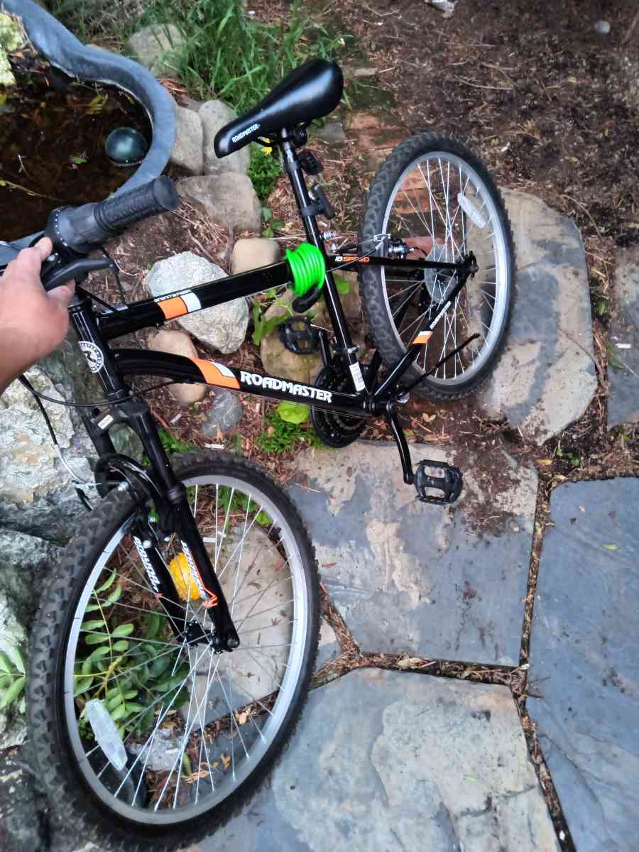 Xavi Vicii - Adelanto, California - FleaMarketBay