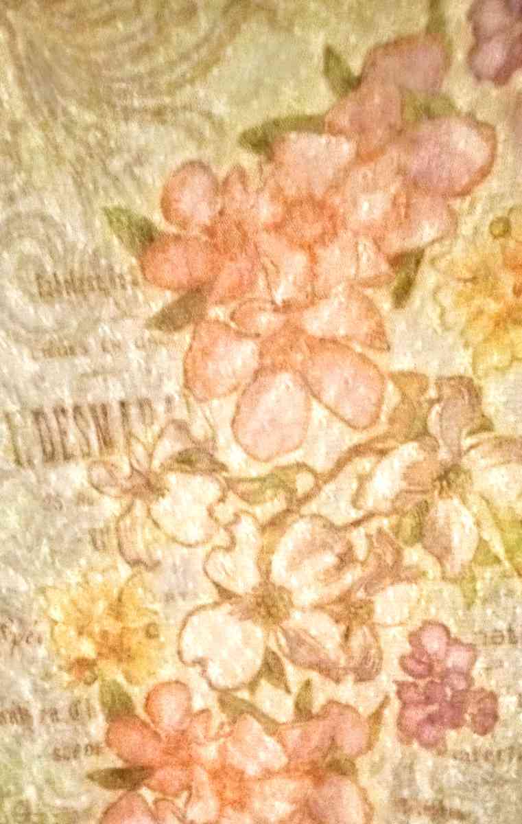 Rue 21 Long Sleeves Sheer Lace Shirt - Muldrow, Oklahoma - FleaMarketBay