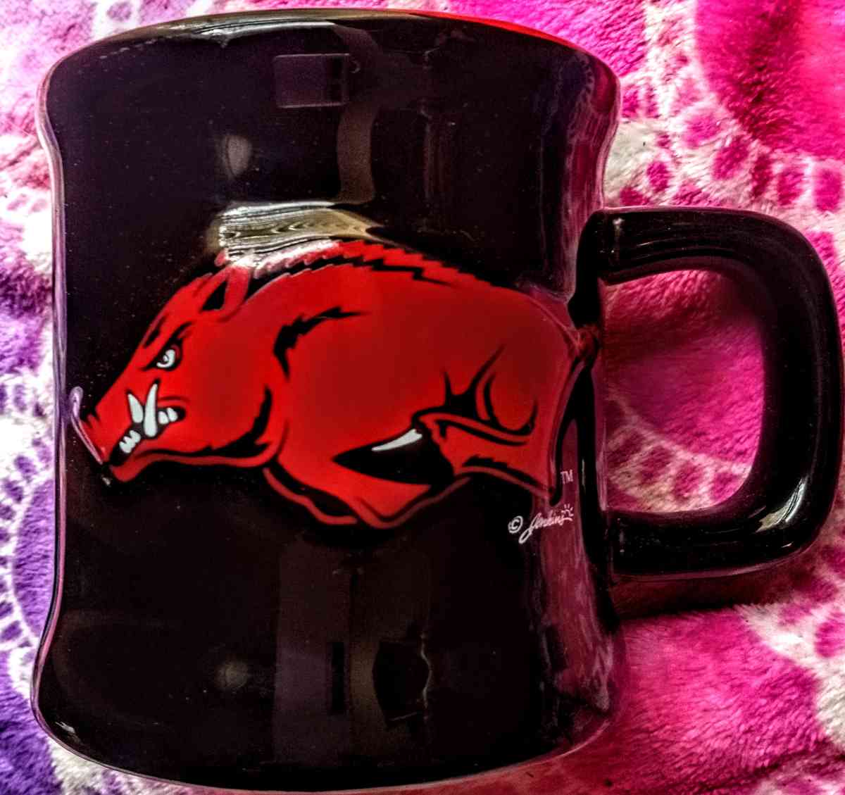 Arkansas Razorbacks Mug - Muldrow, Oklahoma - FleaMarketBay