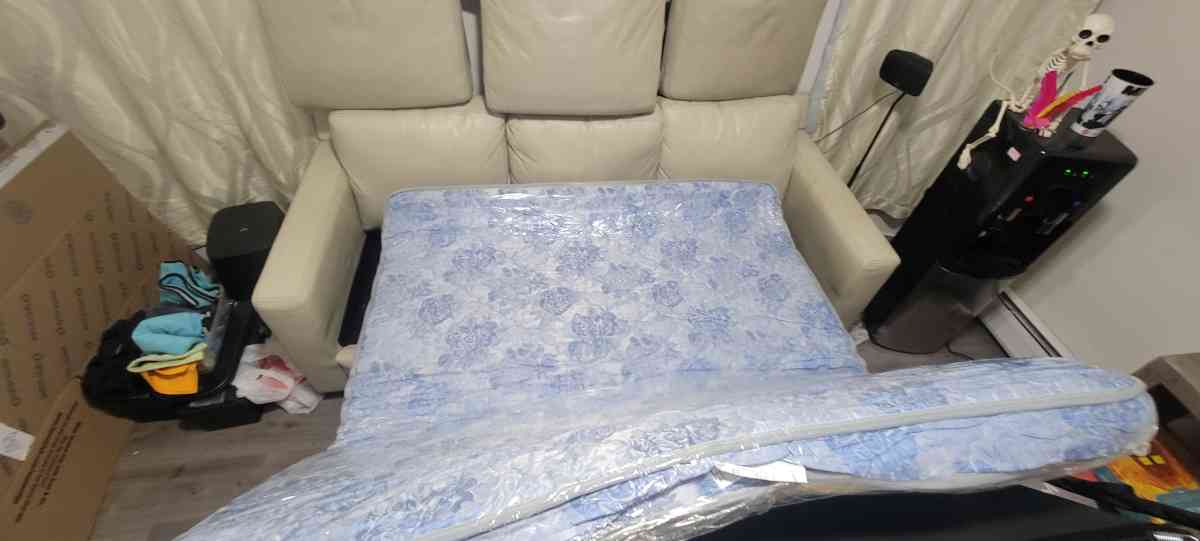 Sleeper sofa and ottoman