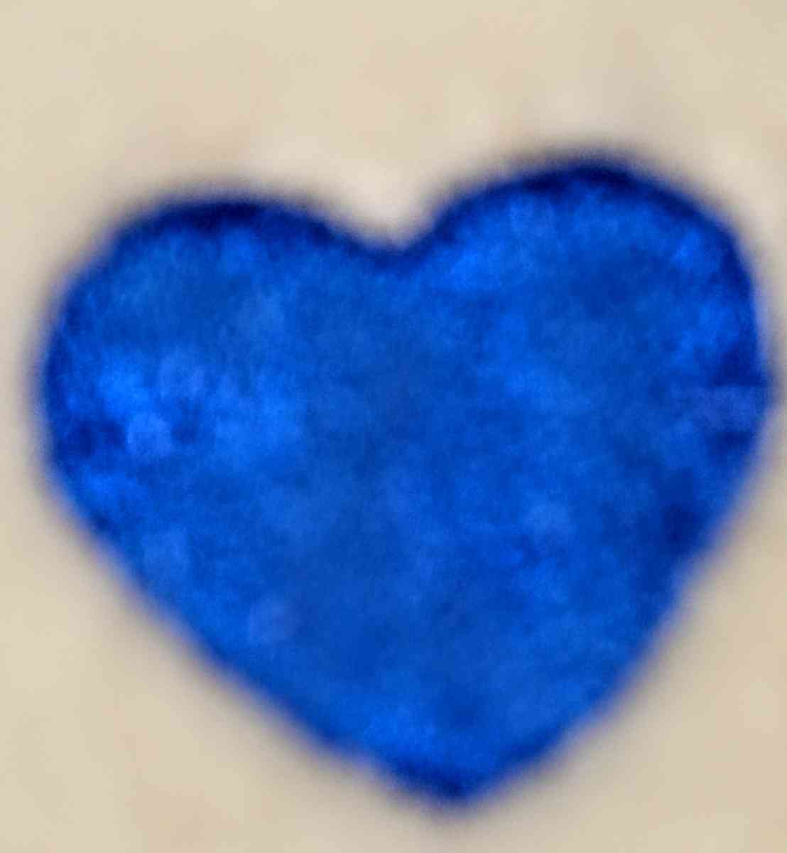 Earl the Beanie Baby - Muldrow, Oklahoma - FleaMarketBay