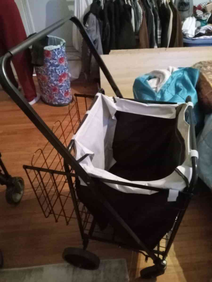 buggy - Gastonia, North Carolina - FleaMarketBay