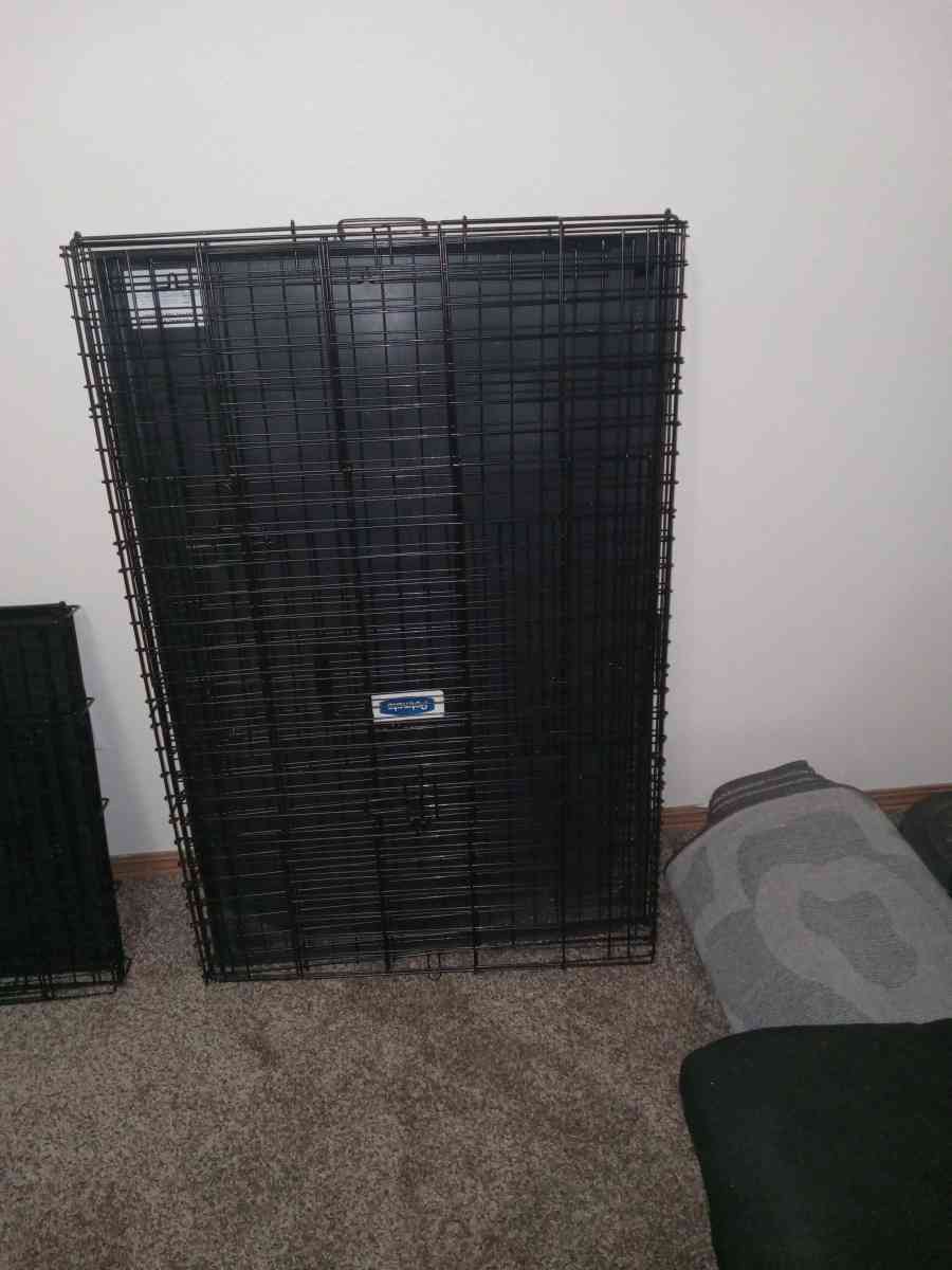 xl dog cage - Ellensburg, Washington