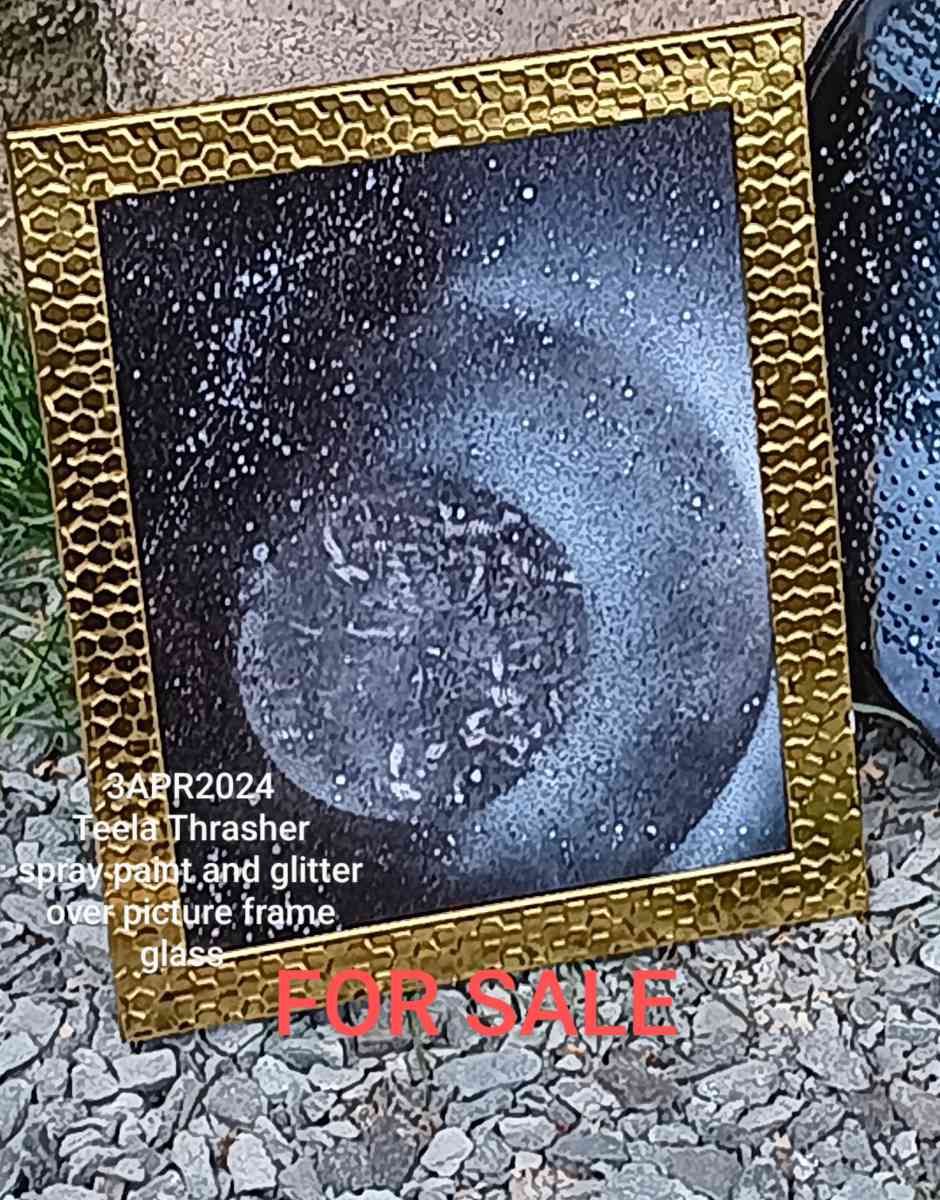 Eclipsed Paintings - Tacoma, Washington - FleaMarketBay