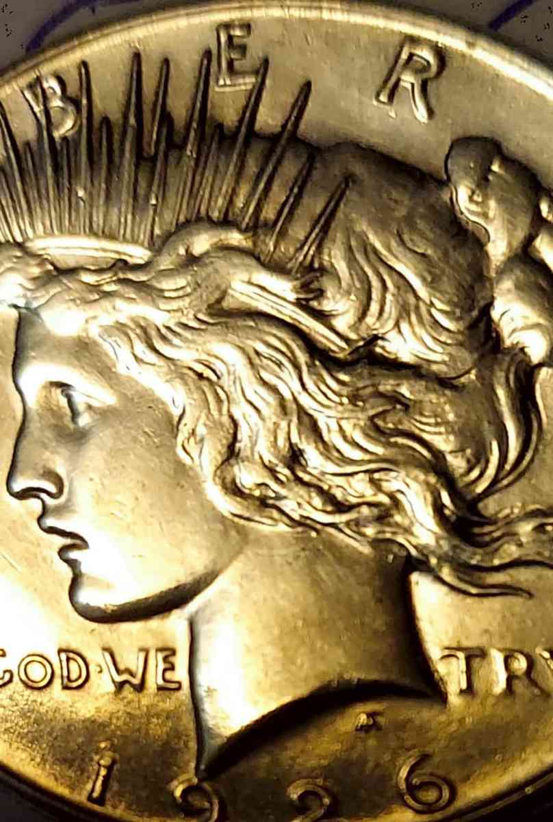 This is a nineteen twenty six s peace dollar Van four harder - Goodrich, Texas