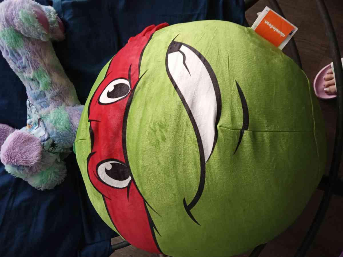 ninja turtle pillow - Clearwater, Florida - FleaMarketBay