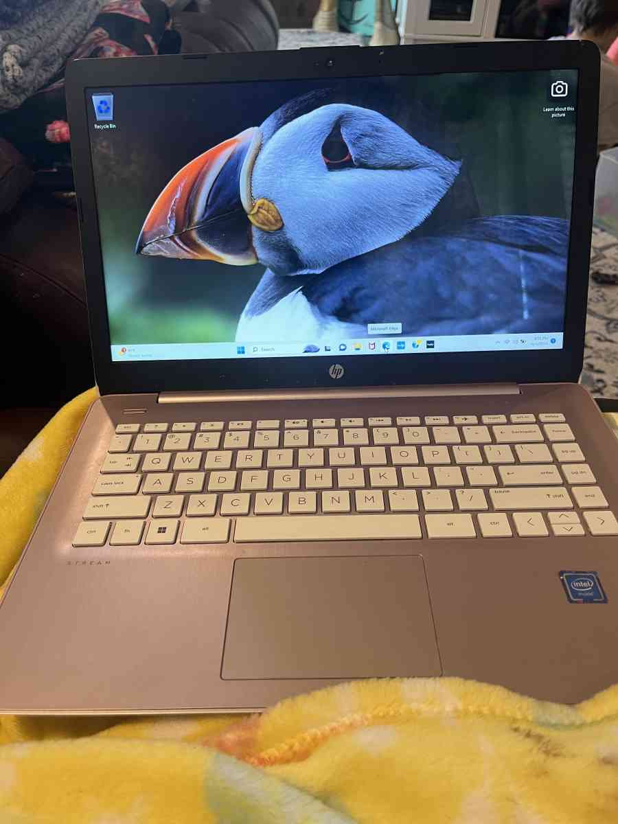 pink HP laptop - Loganville, Georgia