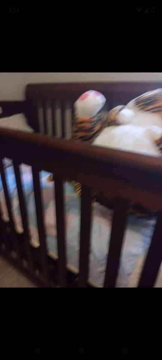 baby crib - Laurens, South Carolina