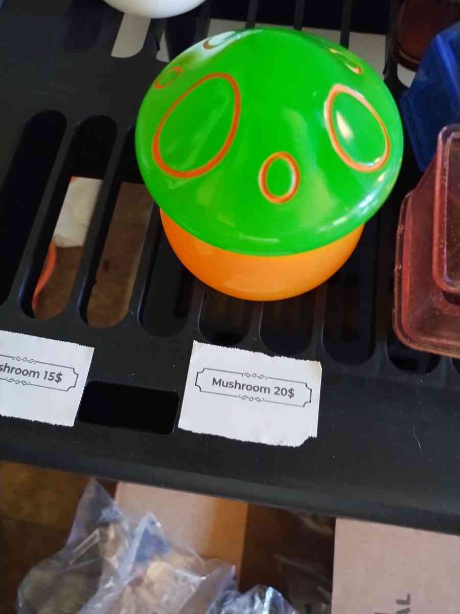 glow in the dark mushroom - Oglethorpe, Georgia