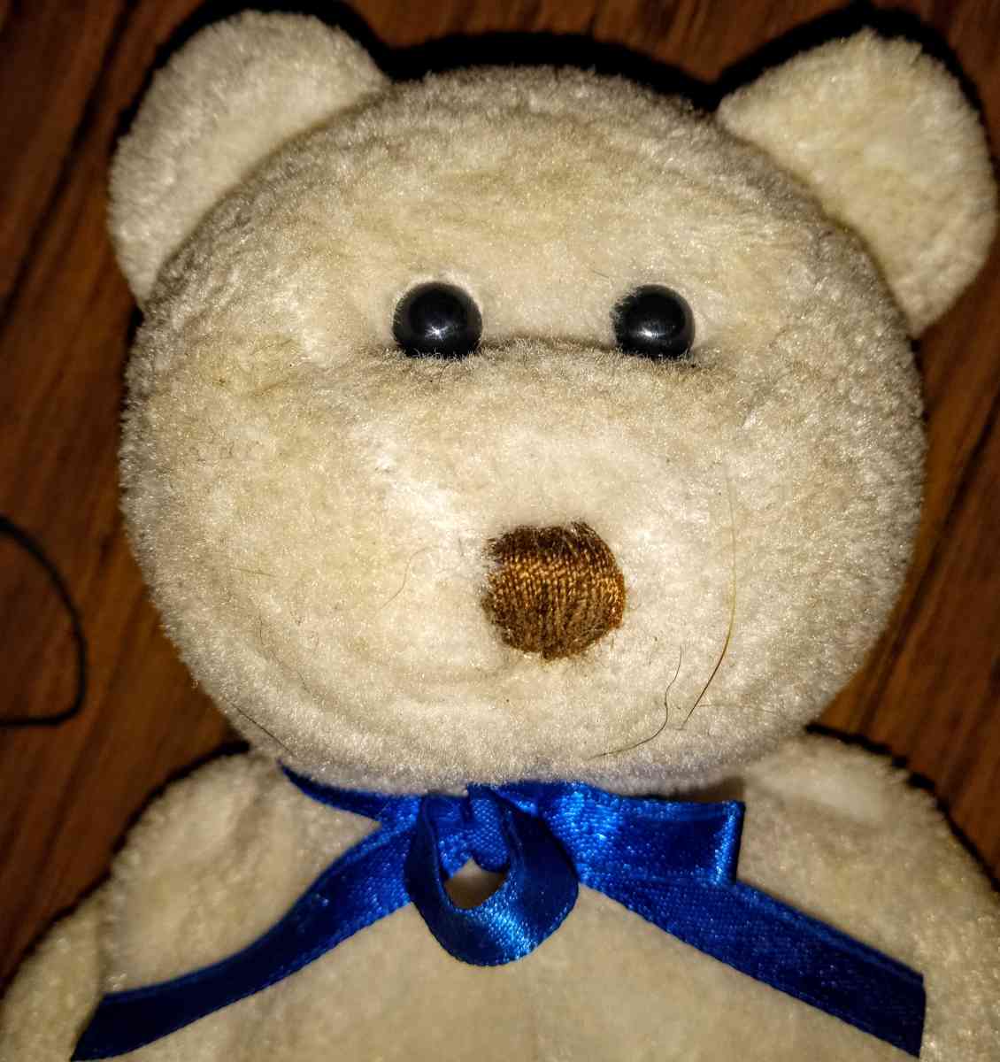 Earl the Beanie Baby - Muldrow, Oklahoma