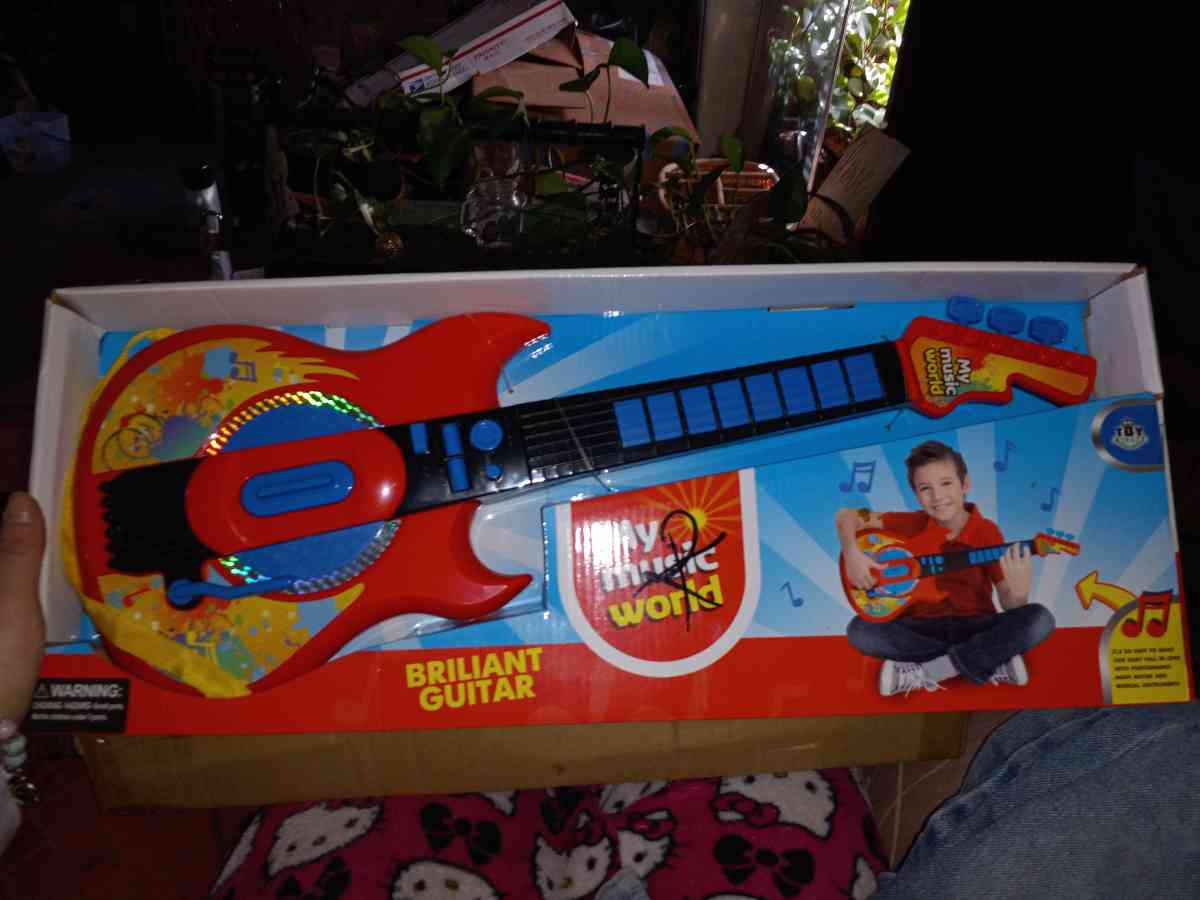 a brilliant guitar - Chuckey, Tennessee