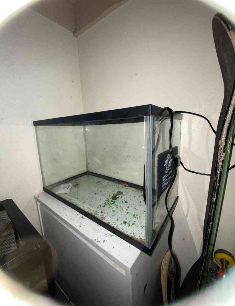 10 Gallon tank N Heat mat - San Antonio, Texas