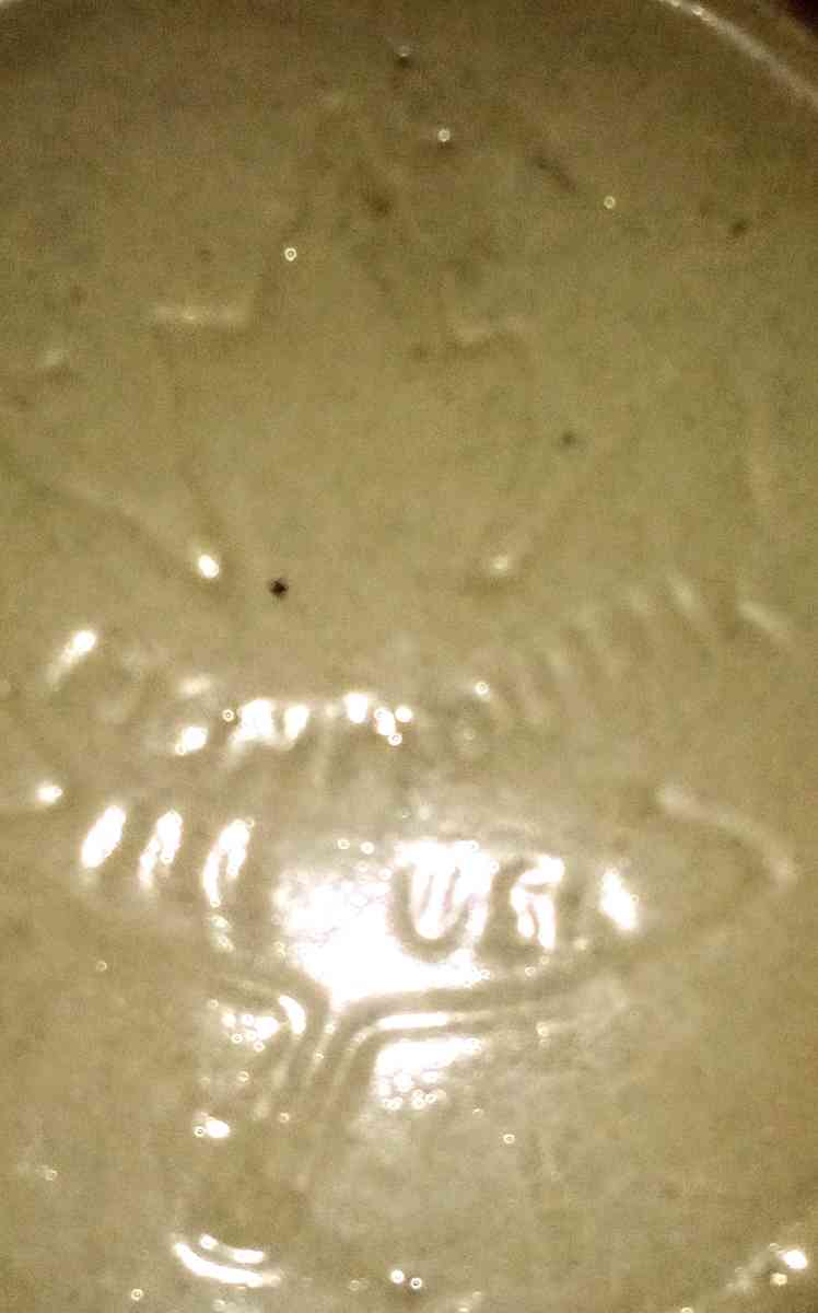 small crock maple leaf - Middletown, Indiana - FleaMarketBay