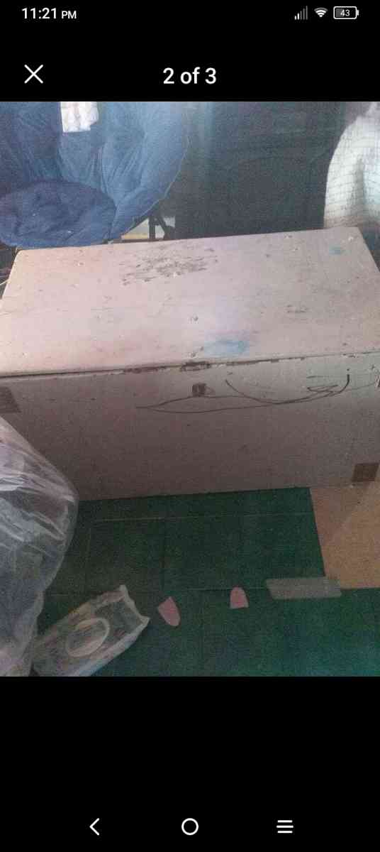 ventage trunk - Deep Run, North Carolina