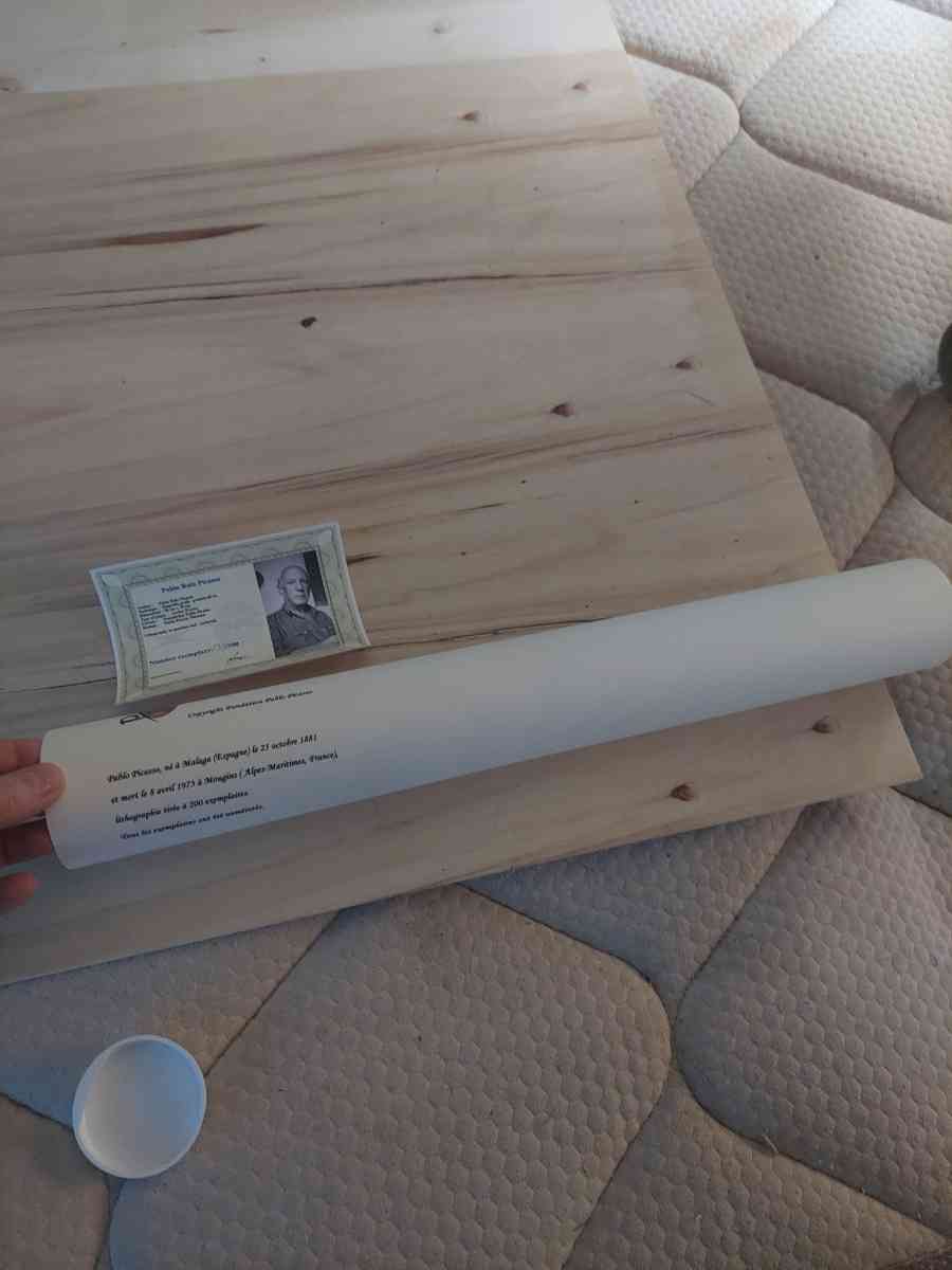 This is a little Picasso painting artThank you - Goodrich, Texas - FleaMarketBay