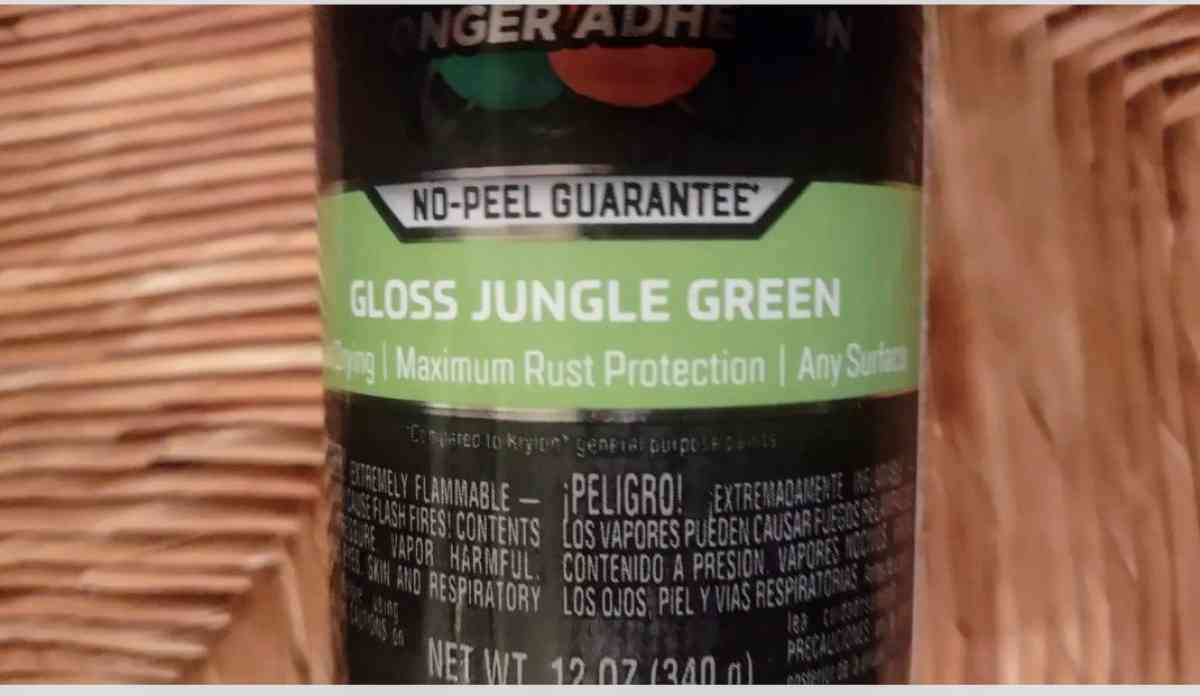 RAZOR e200 electric  scooter   Accessories  Paint  New Charg - Farmingdale, New York - FleaMarketBay