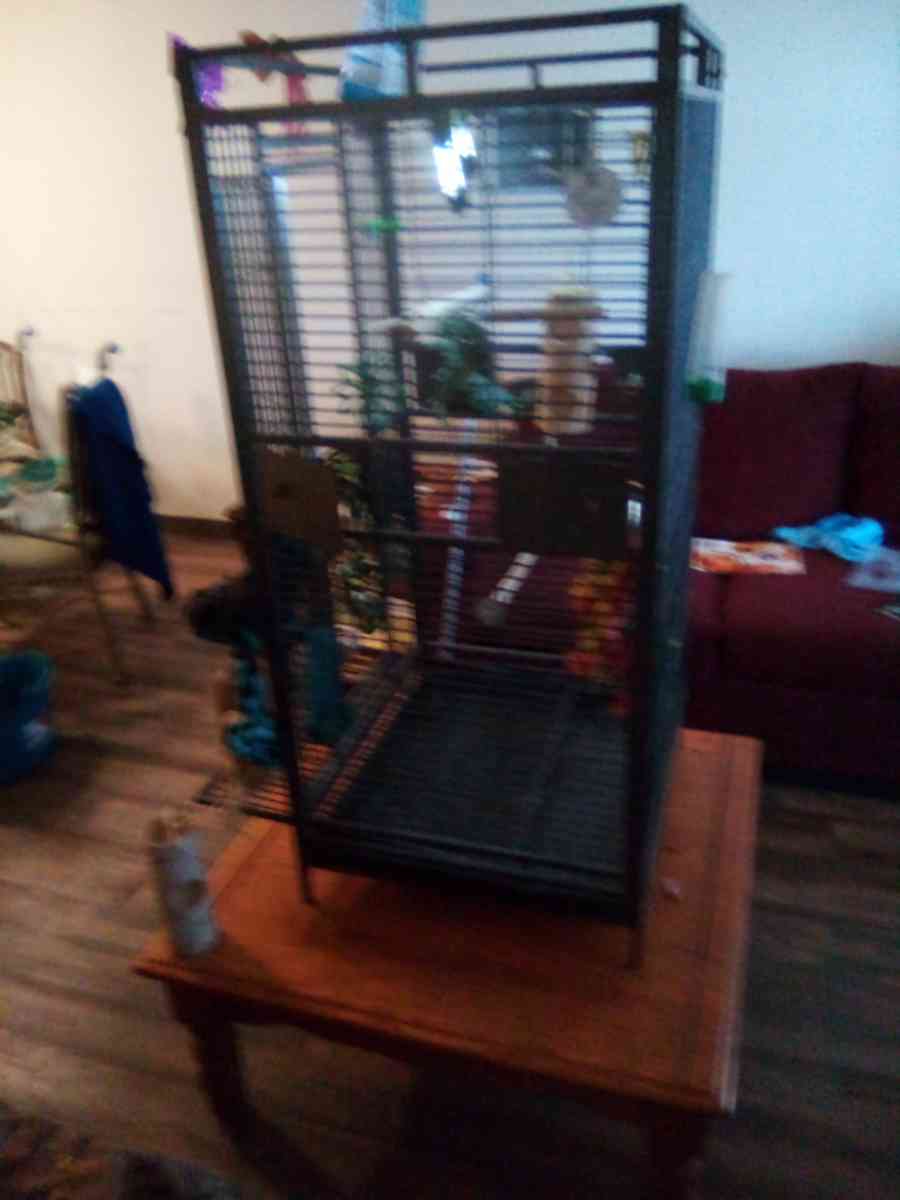 bird cage - Baltimore, Maryland - FleaMarketBay