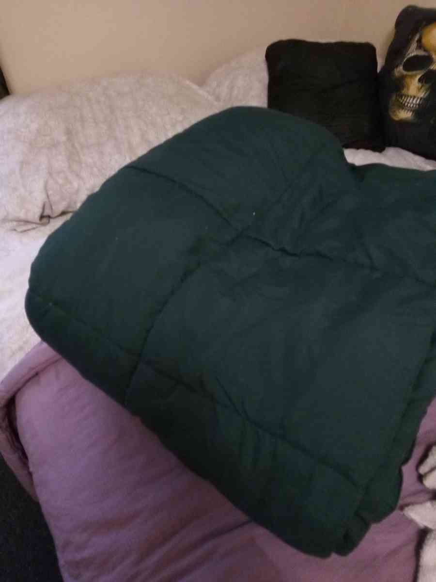 Green Comforter - North Charleston, South Carolina - FleaMarketBay