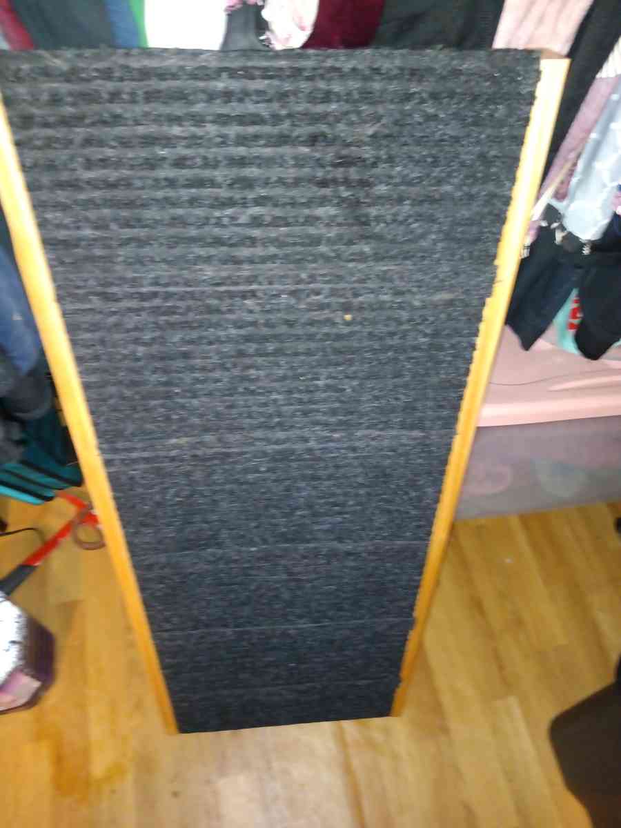 Dog step stairs must pick up - San Antonio, Texas