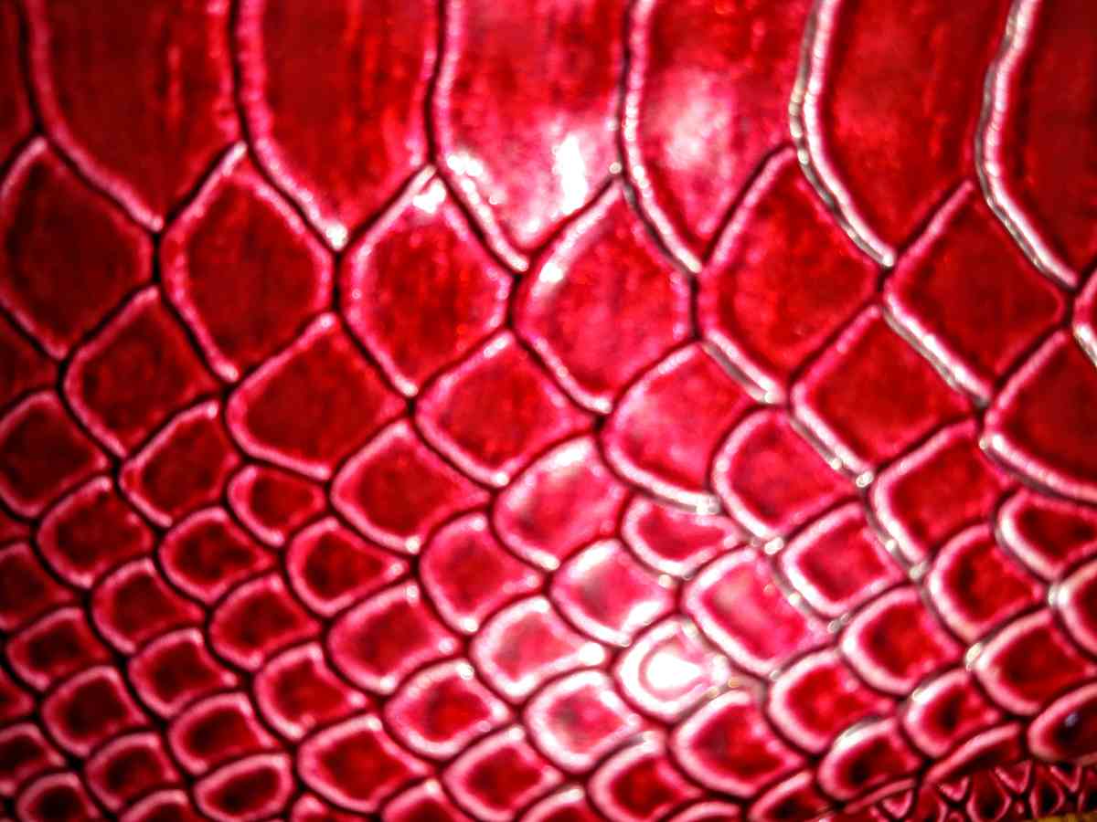Red Small Rattlesnake Pattern Clutch with 25in Silver Chain - Muldrow, Oklahoma - FleaMarketBay