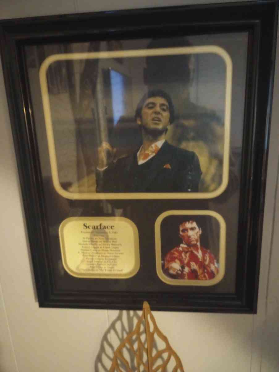 pictures of Tony Montana - Clarksville, Tennessee - FleaMarketBay