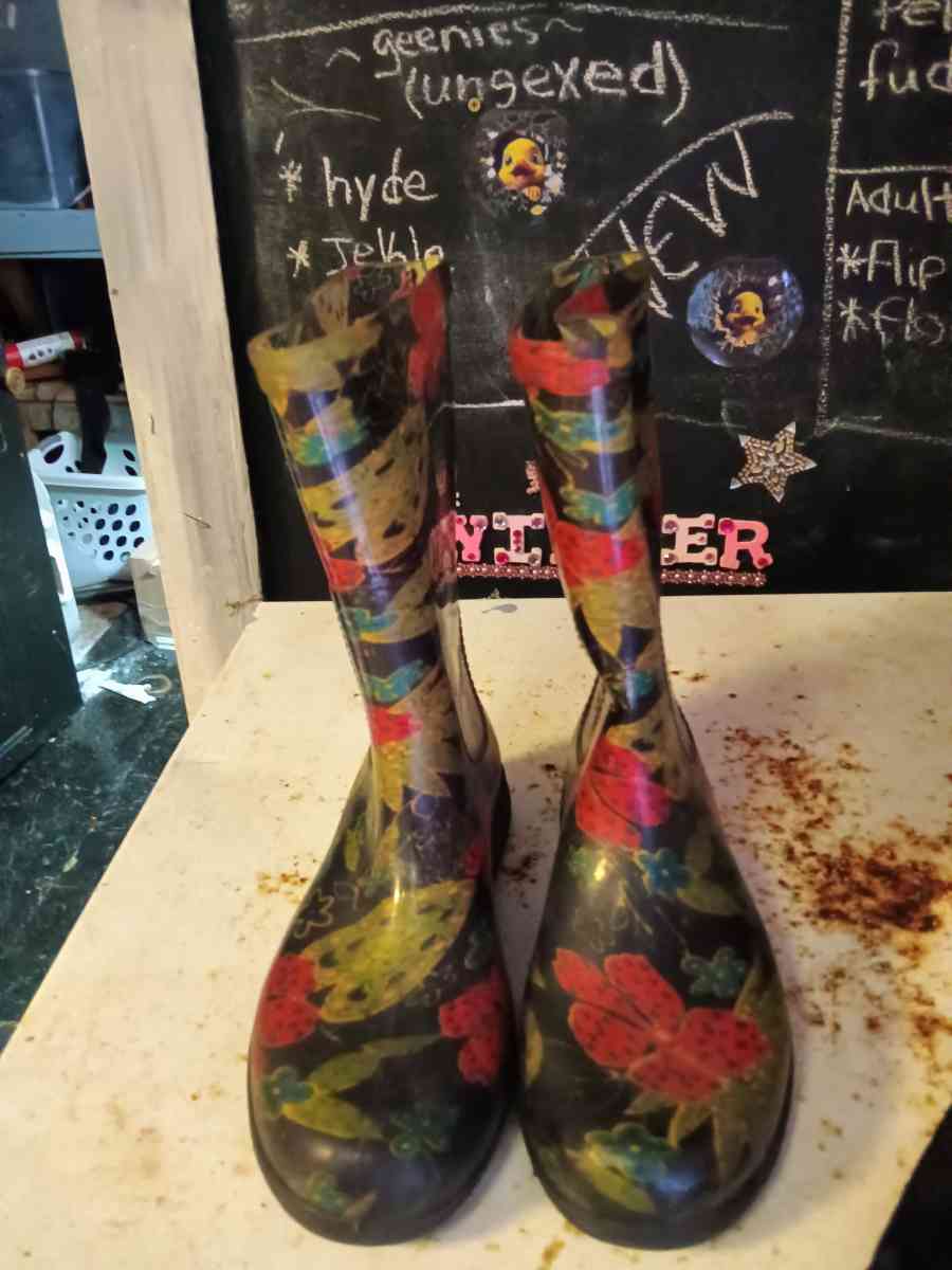 multiple items - Deep Run, North Carolina - FleaMarketBay