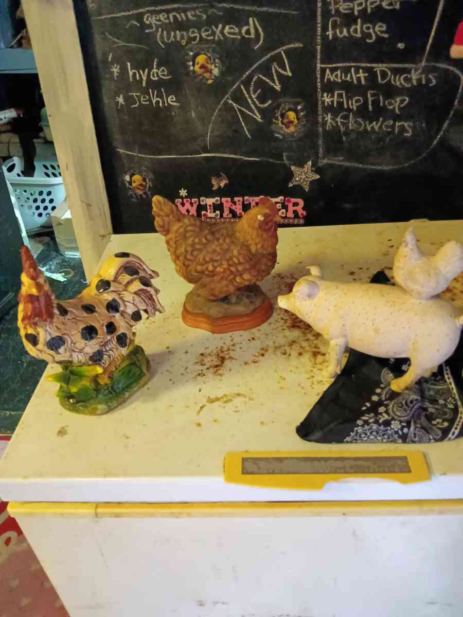 chickens and foot massager - Deep Run, North Carolina - FleaMarketBay