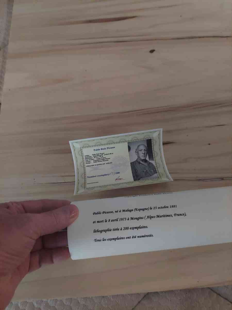 This is a little Picasso painting artThank you - Goodrich, Texas - FleaMarketBay