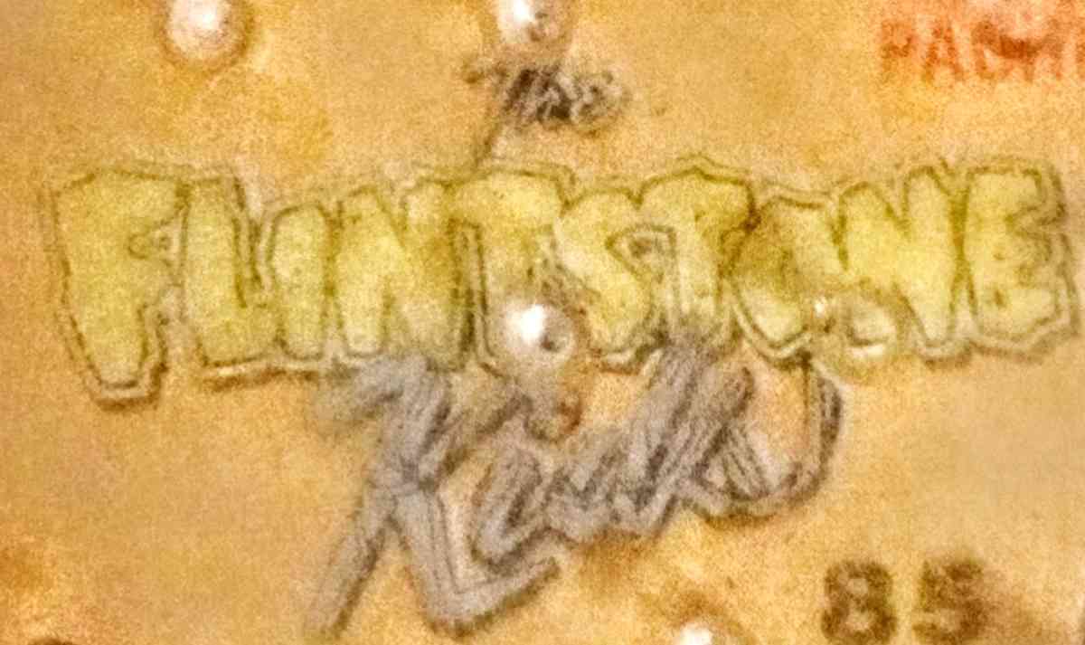 Flintstones Kids Hand held Pinball Game - Muldrow, Oklahoma - FleaMarketBay