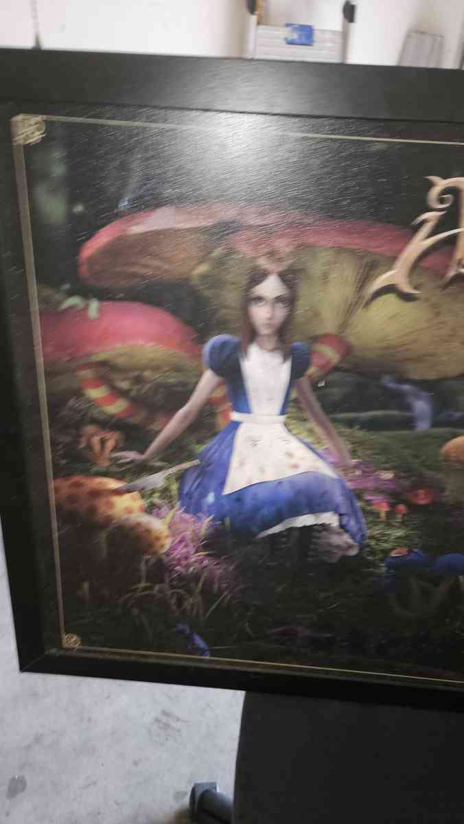 american mcgees alice mushroom garden  painting - Magnolia, Texas - FleaMarketBay