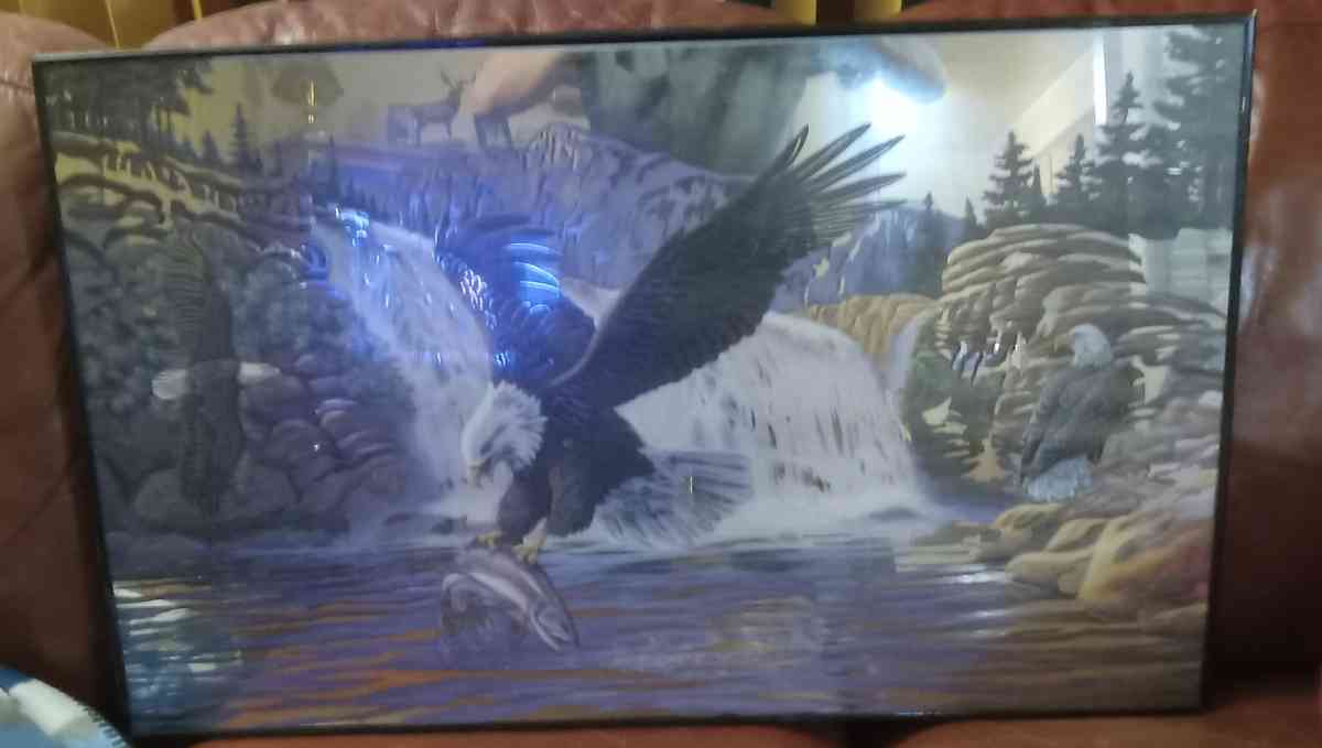 Bald Eagle Wall Picture - Sioux Falls, South Dakota