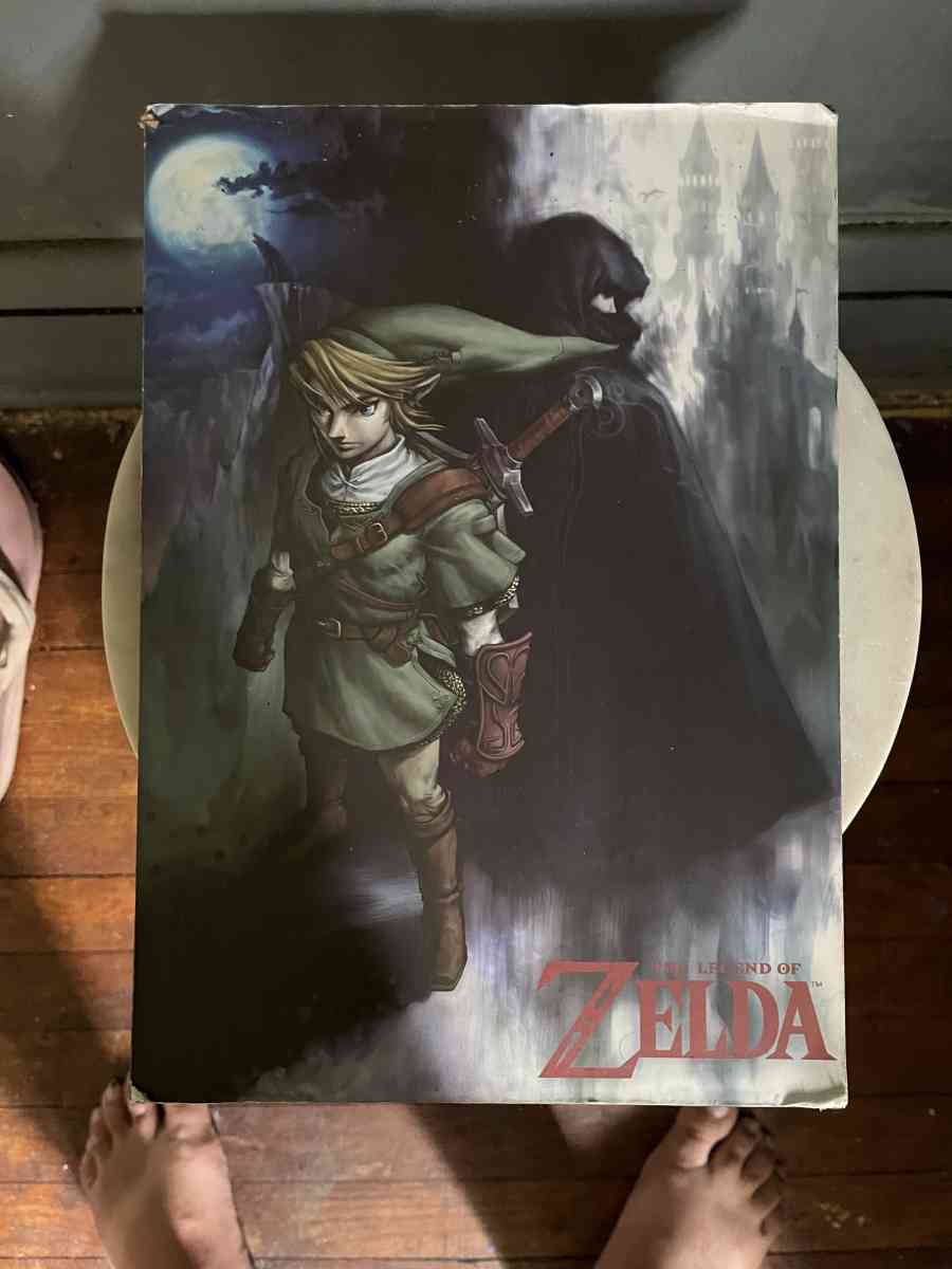 The Legend of Zelda Twilight Princess Art - Elyria, Ohio
