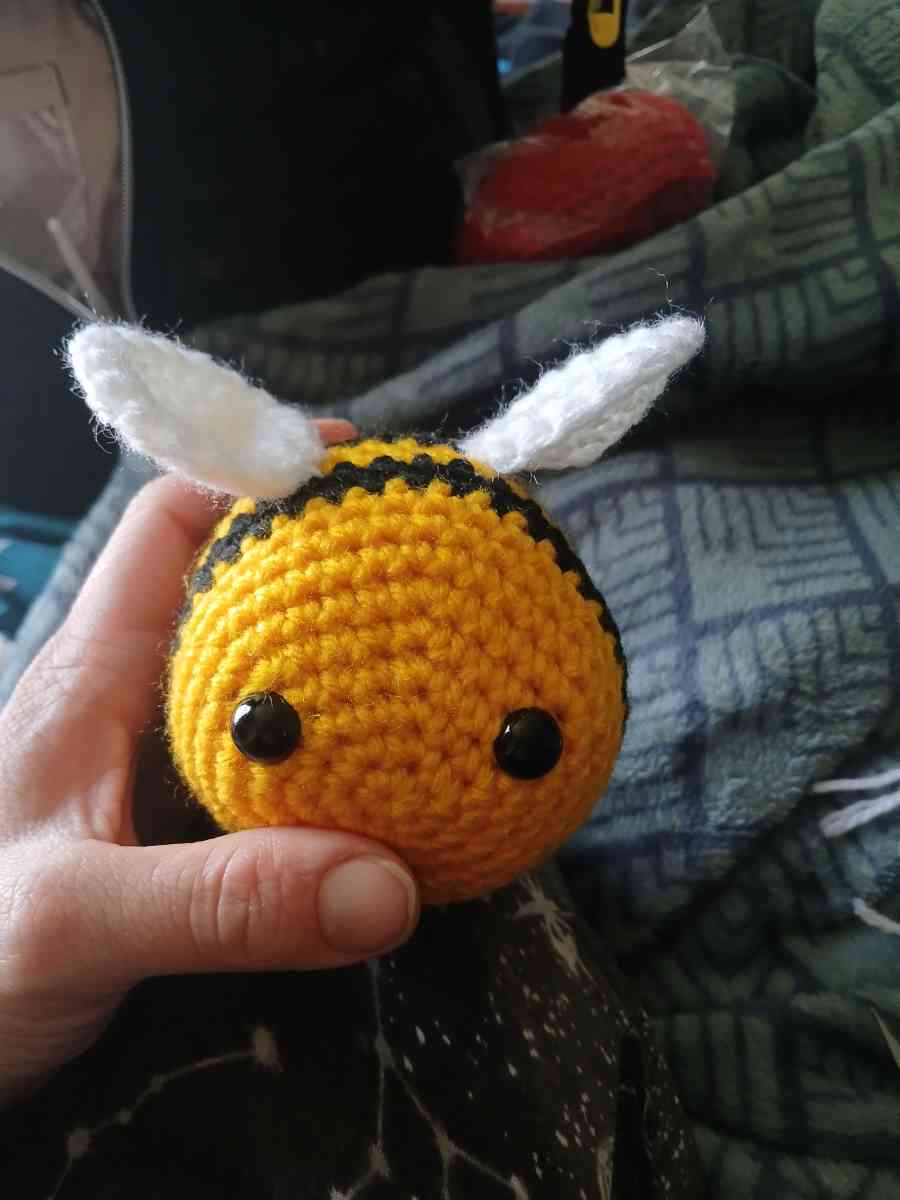 little Bumble bee - Brooklyn, Connecticut