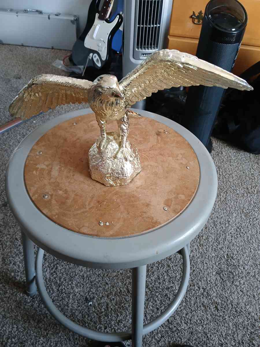 agila dorado - San Jose, California