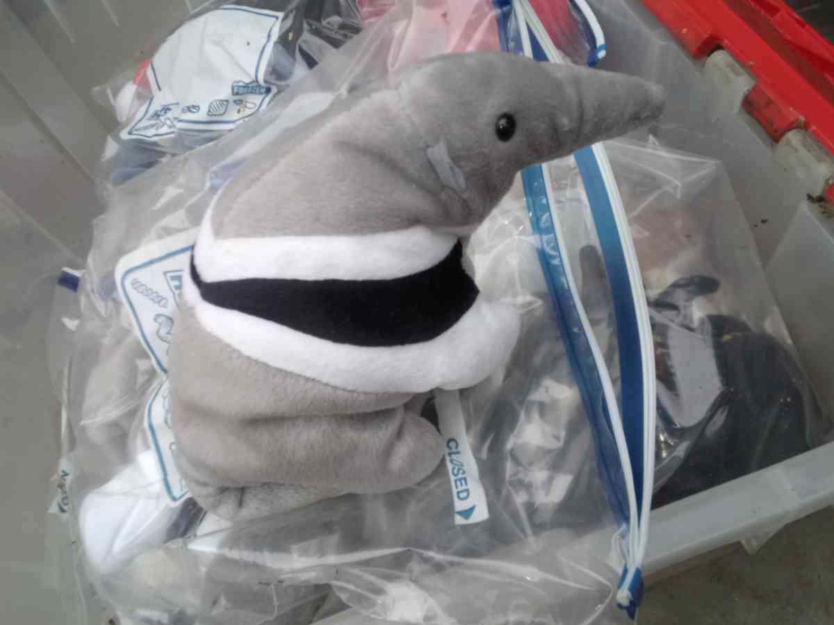 Beanie Babies - Pasadena, California - FleaMarketBay