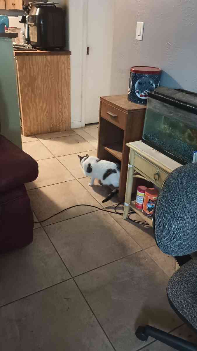 End table - Seminole, Florida