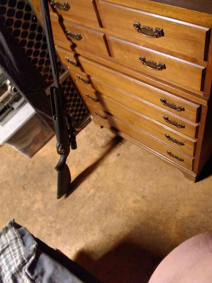 Gamo swarm whisper bb gun - Meyersdale, Pennsylvania - FleaMarketBay