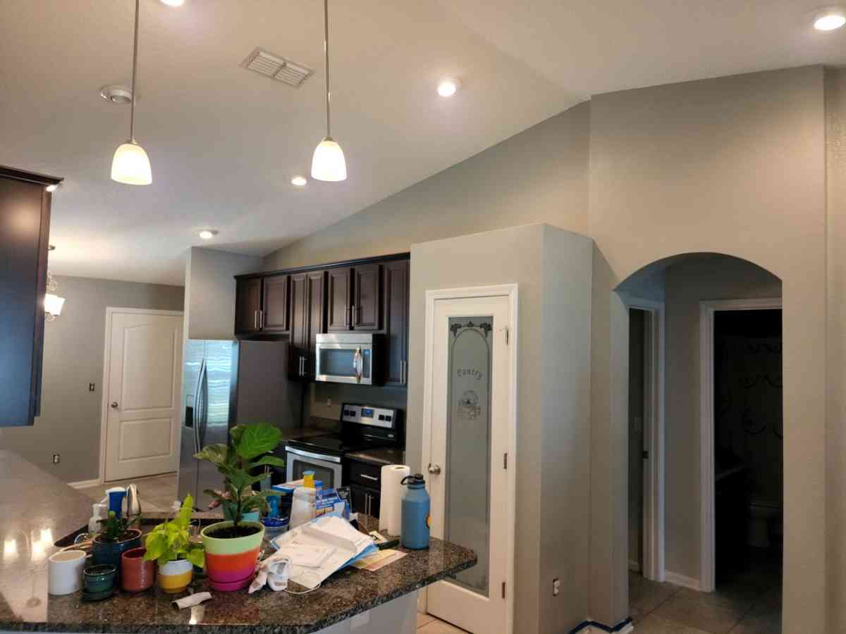 Professional Painting Services