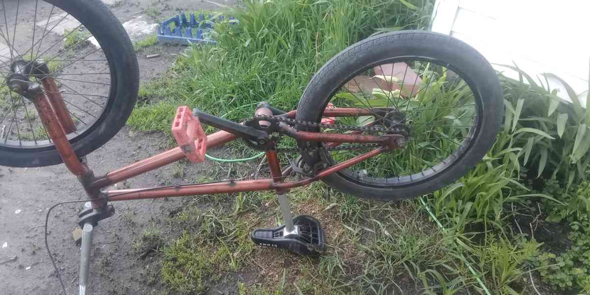 GT performer - Hedrick, Iowa - FleaMarketBay