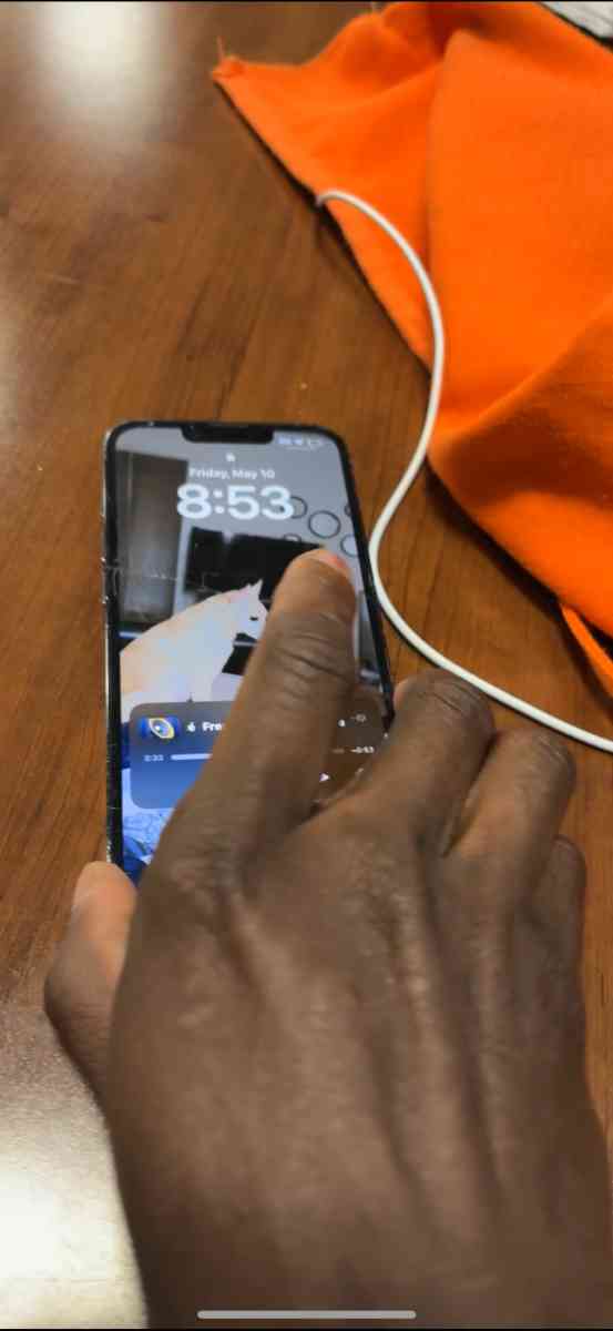 apple - Hempstead, New York