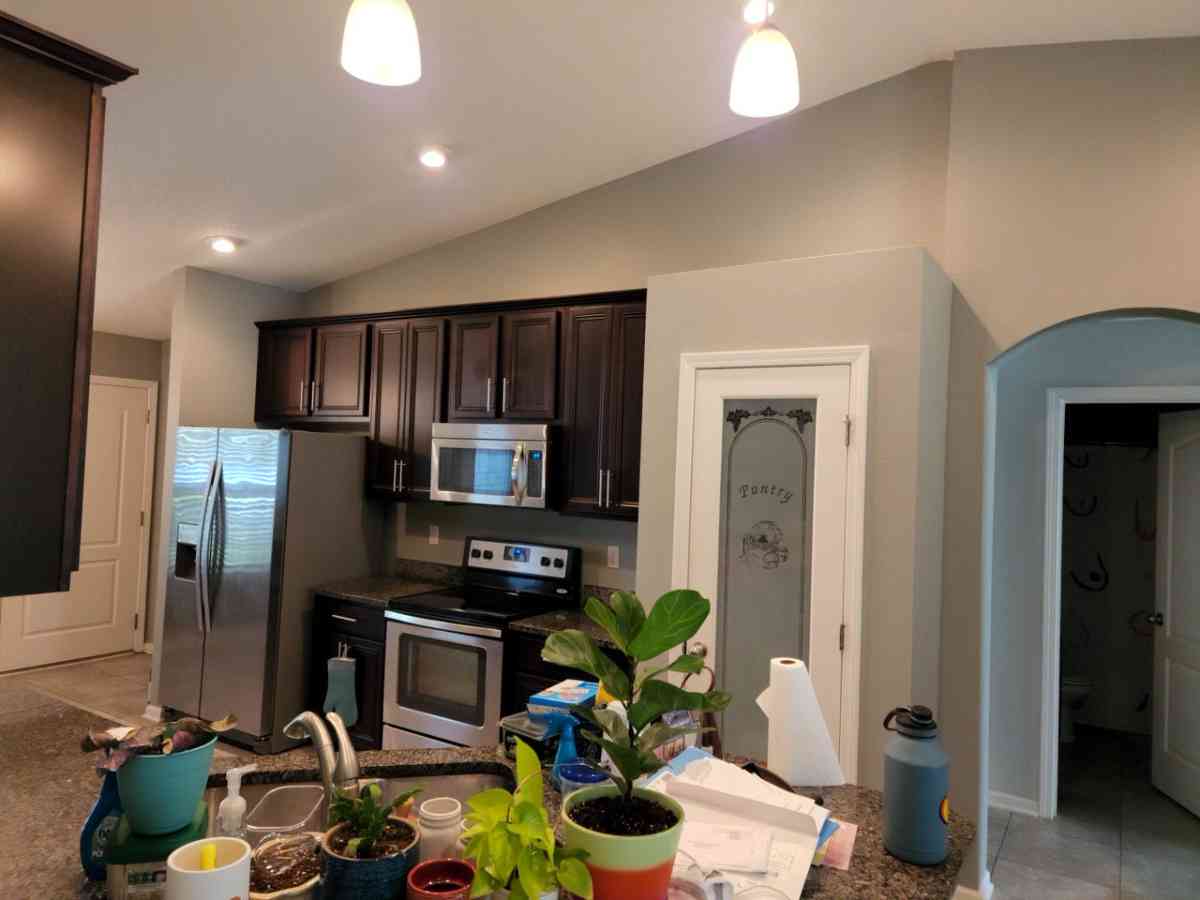 Professional Painting Services - Jacksonville, Florida - FleaMarketBay