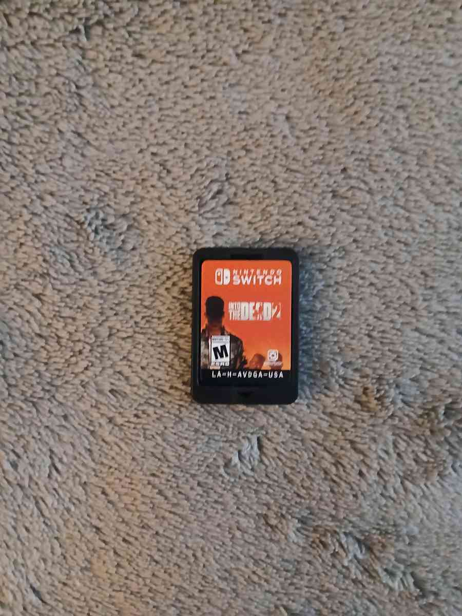 Into The Dead 2 Nintendo Switch - North Hollywood, California - FleaMarketBay