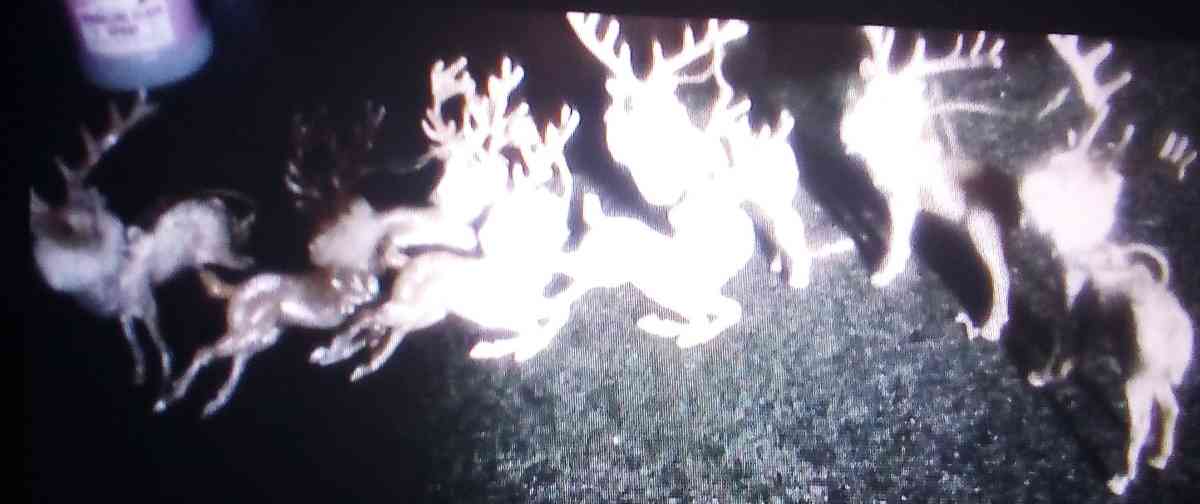 Vintage 8 Piece Reindeer Holiday Set