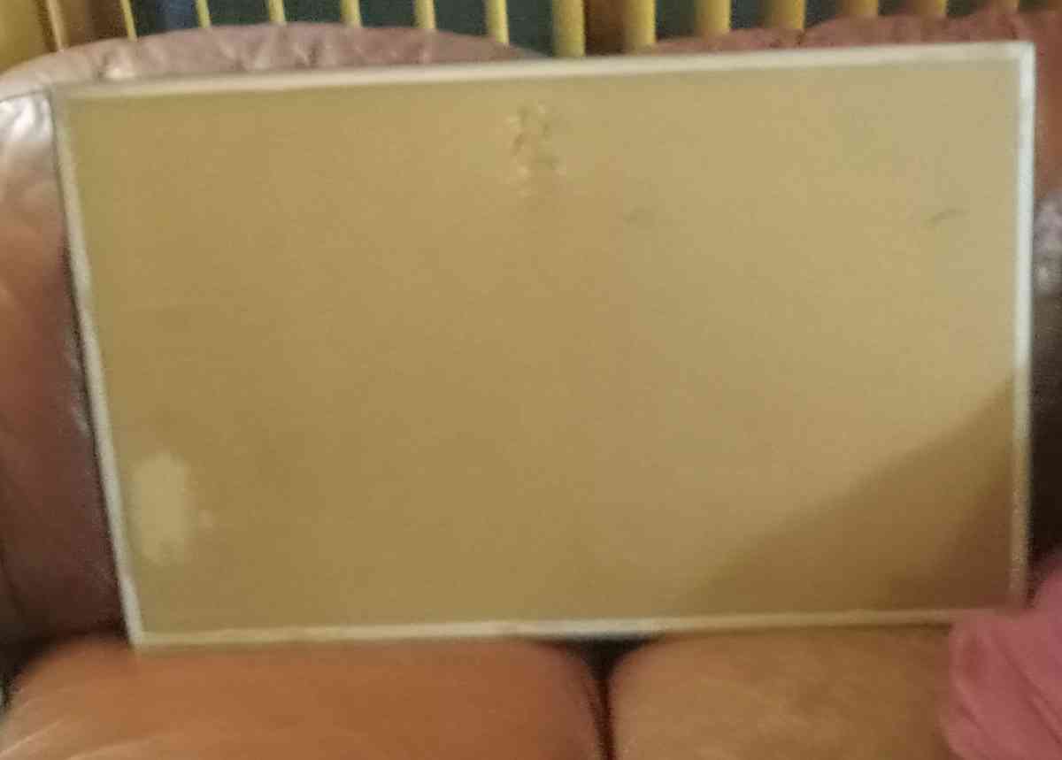 Bald Eagle Wall Picture - Sioux Falls, South Dakota - FleaMarketBay