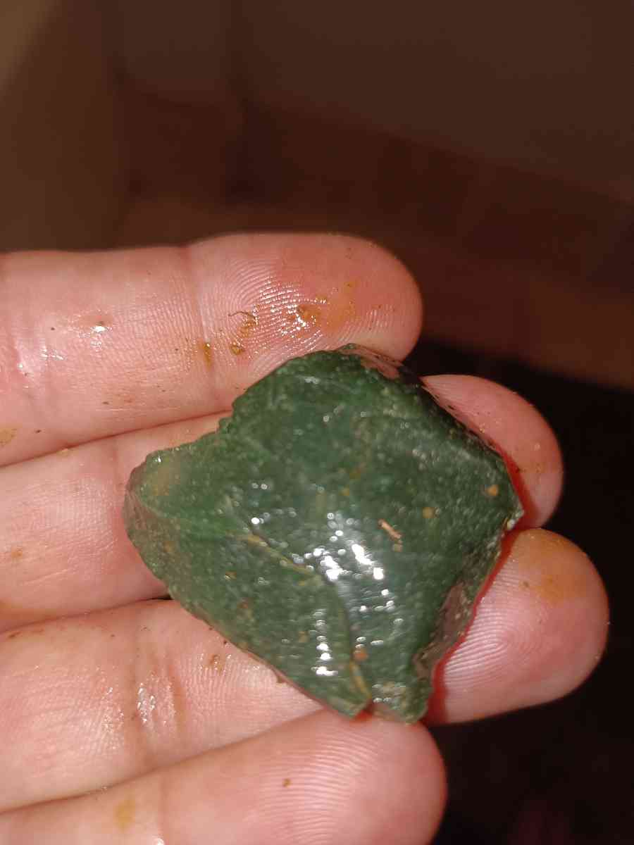 a little bit of everything - Smiths Station, Alabama