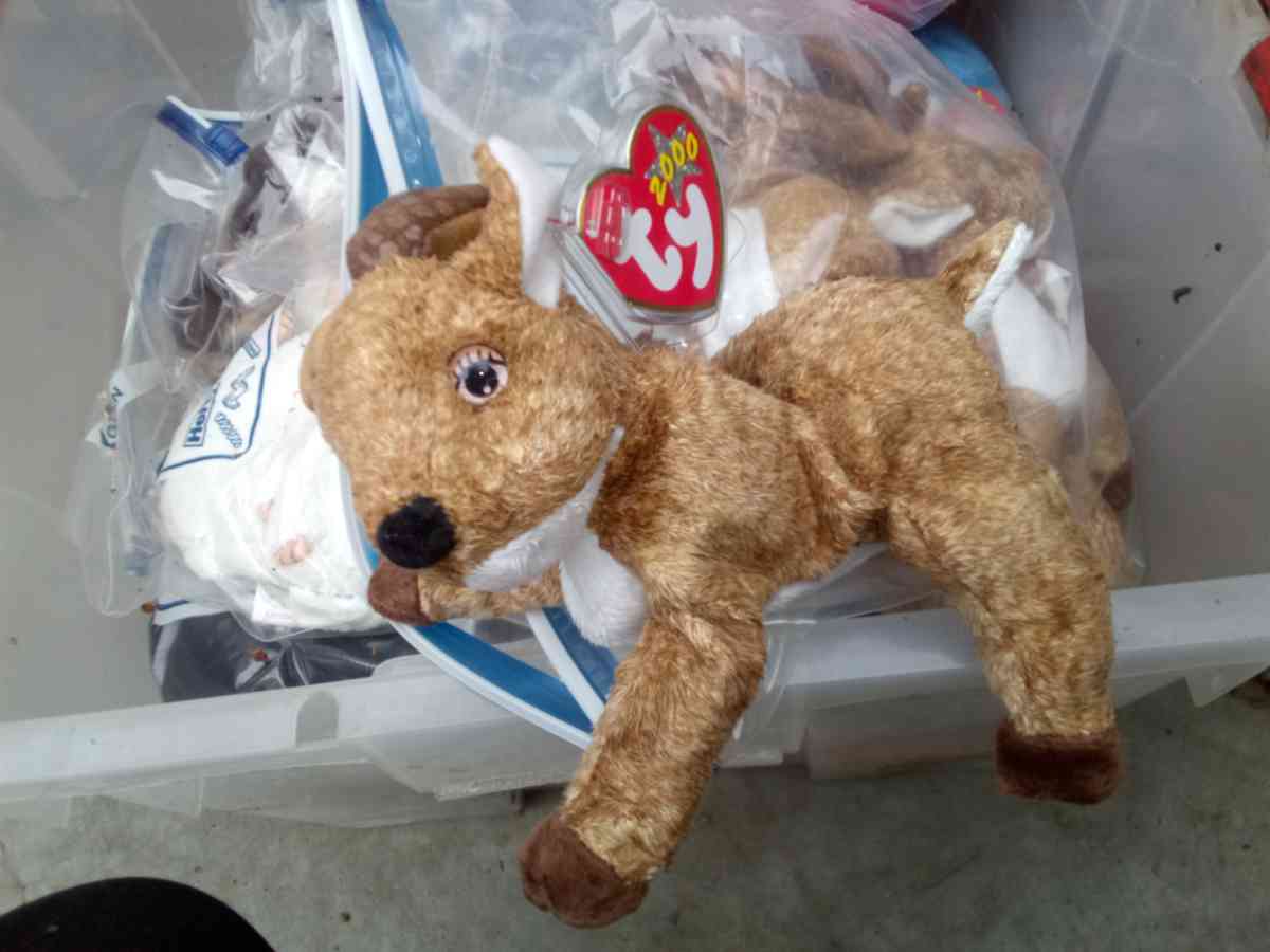 Beanie Babies - Pasadena, California - FleaMarketBay
