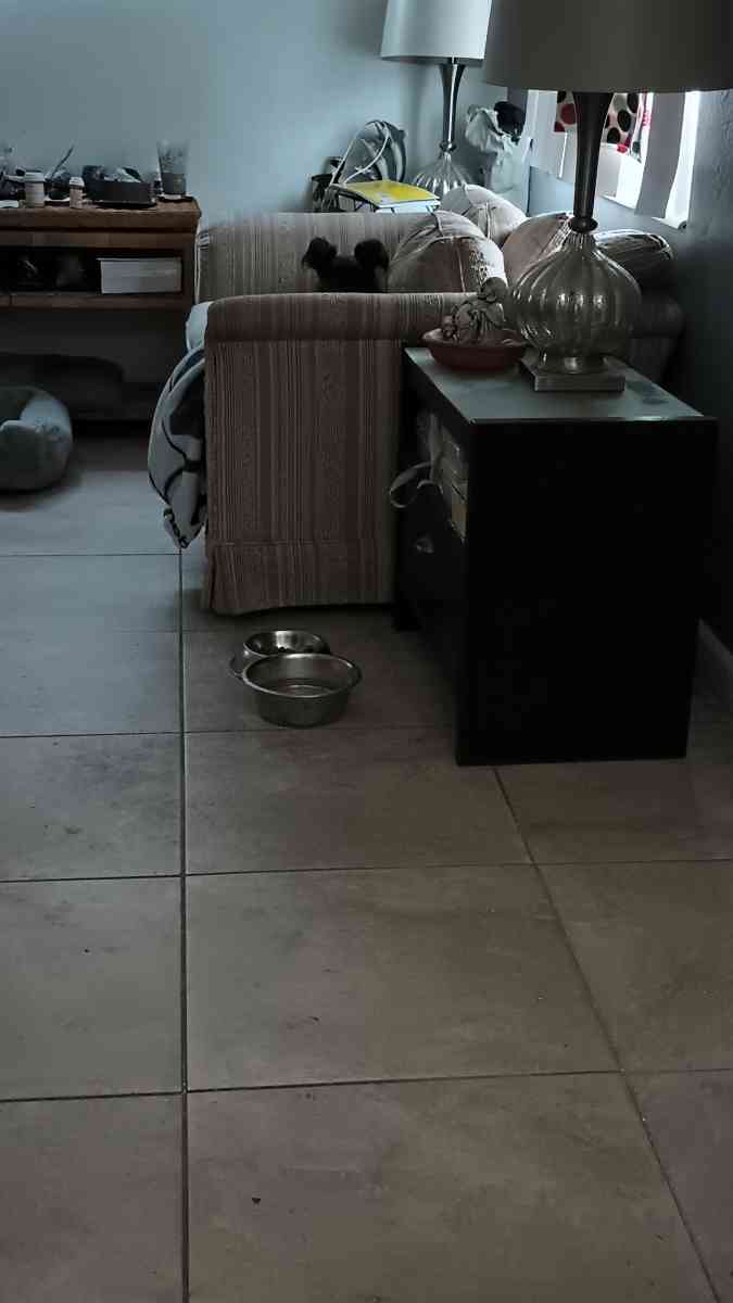 decorative table - Seminole, Florida